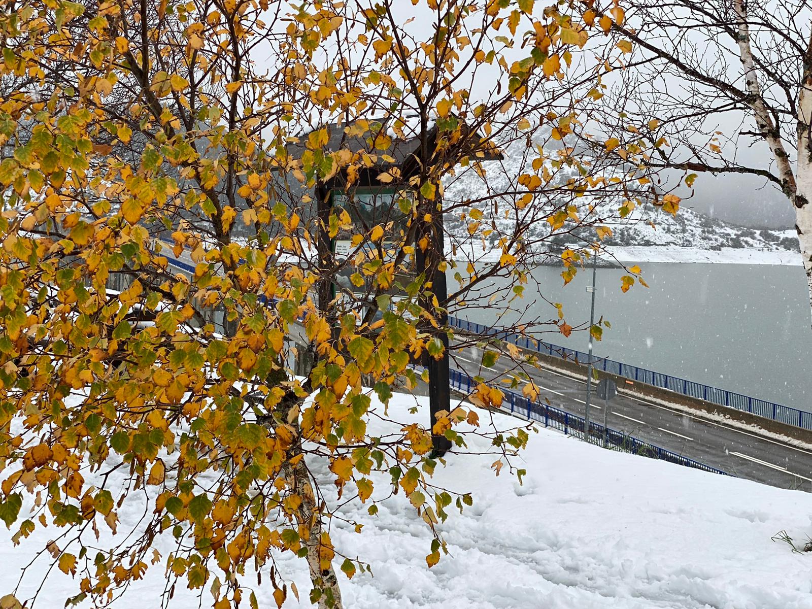 Fotos: La nieve tiñe de blanco el norte de la provincia