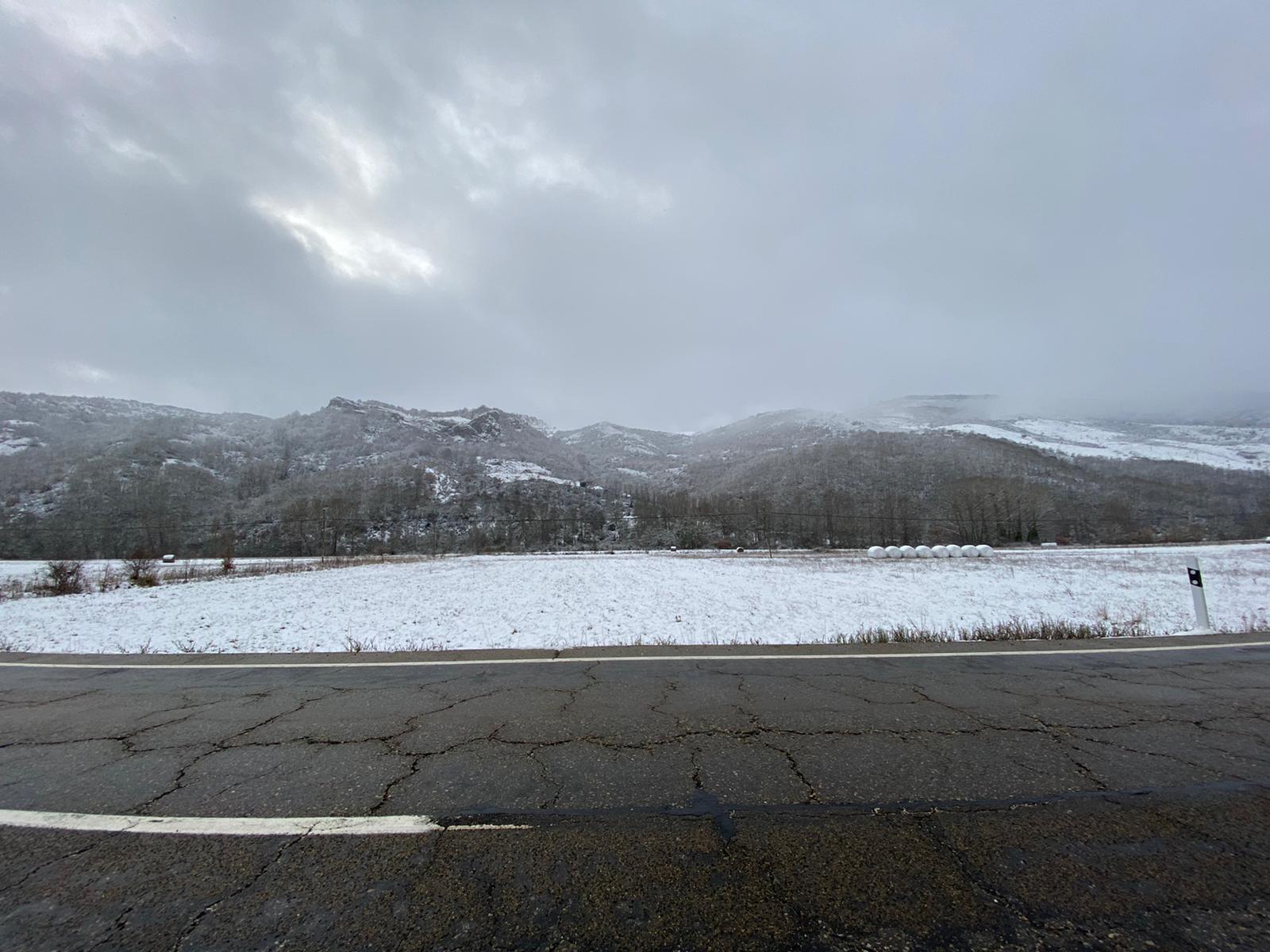 Fotos: La nieve tiñe de blanco el norte de la provincia