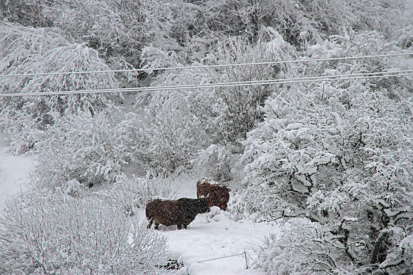 Las zonas altas de la provincia se mantienen cubiertas de blanco tras un nuevo frente frío este martes.