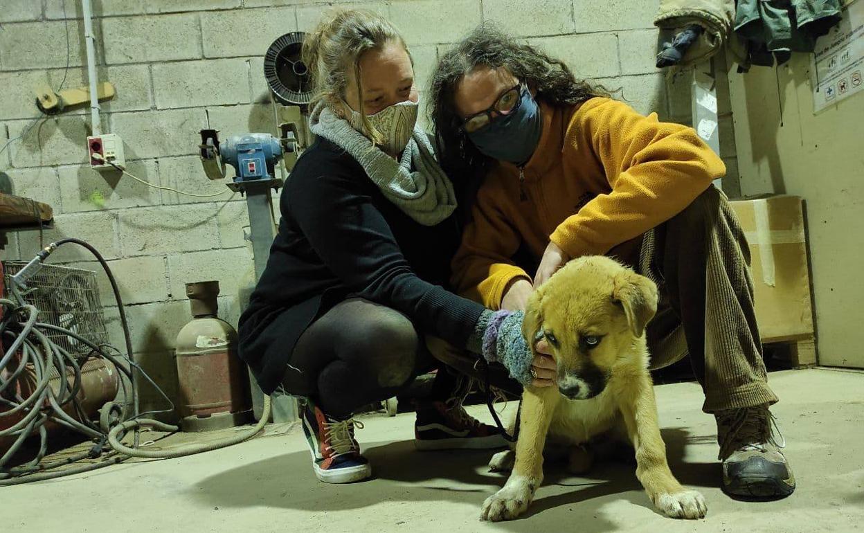 La pareja con su nueva mascota. 