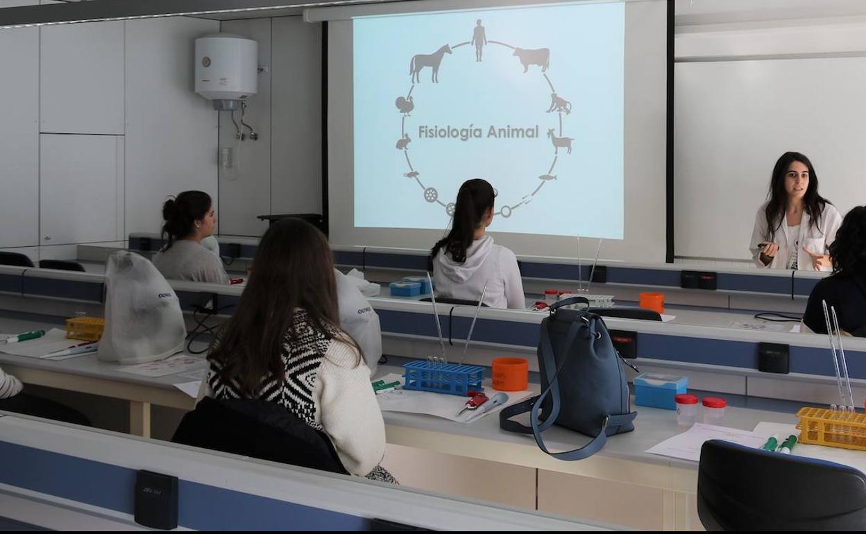 Una encuesta permite que los alumnos de la ULE 'pongan nota' a sus profesores