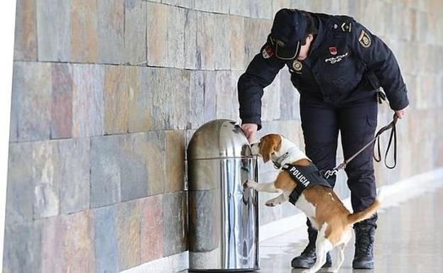 El Ayuntamiento de León da luz verde a la creación de una Unidad Canina para la Policía Local