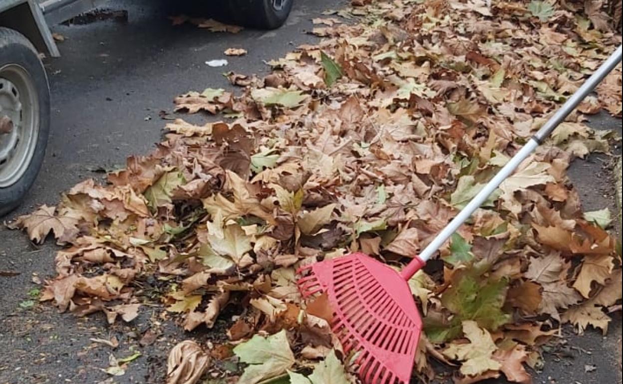 Una de las zonas de hojas sin recoger del municipio.