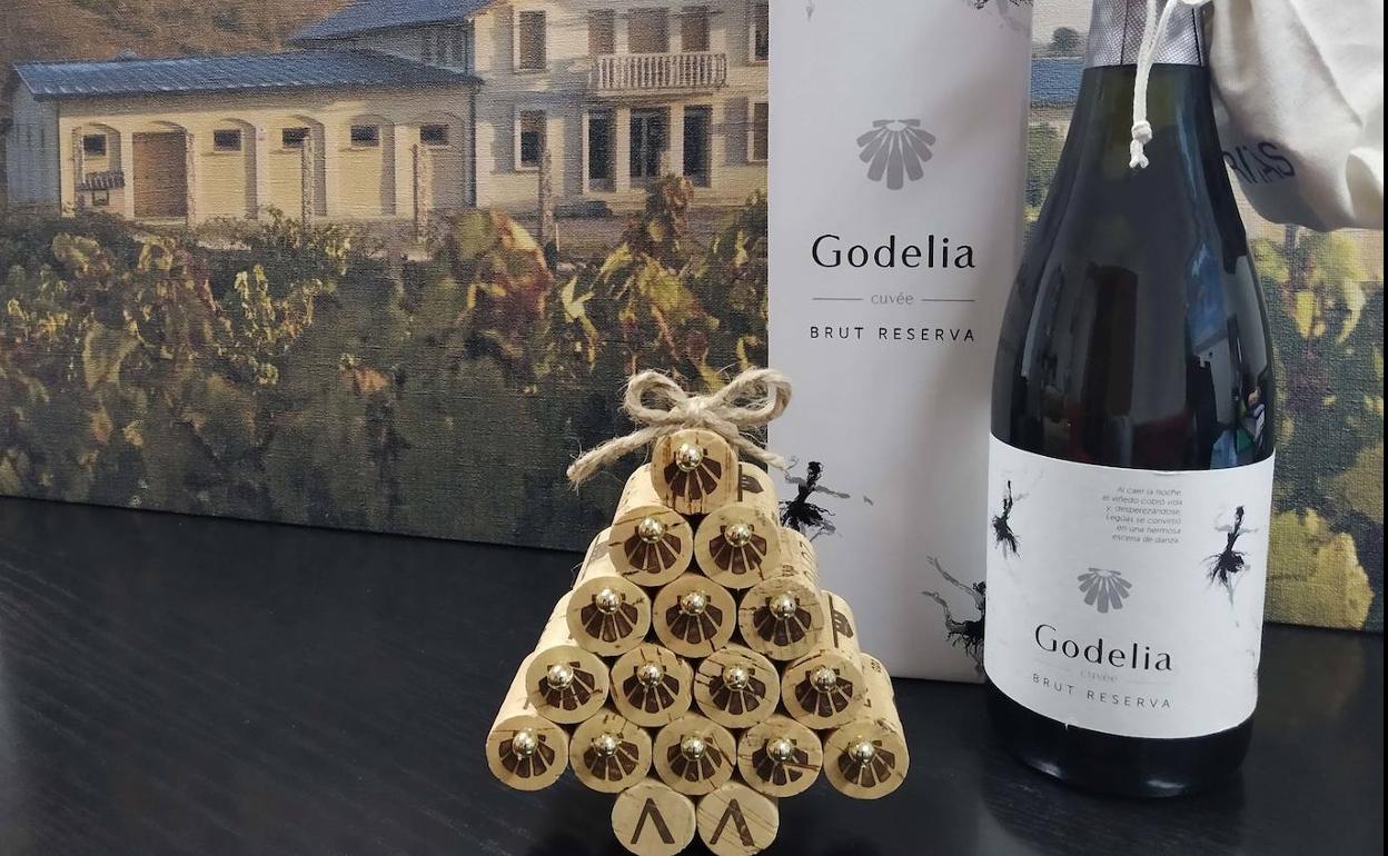 La segunda sesión virtual de Mencía o garnacha.