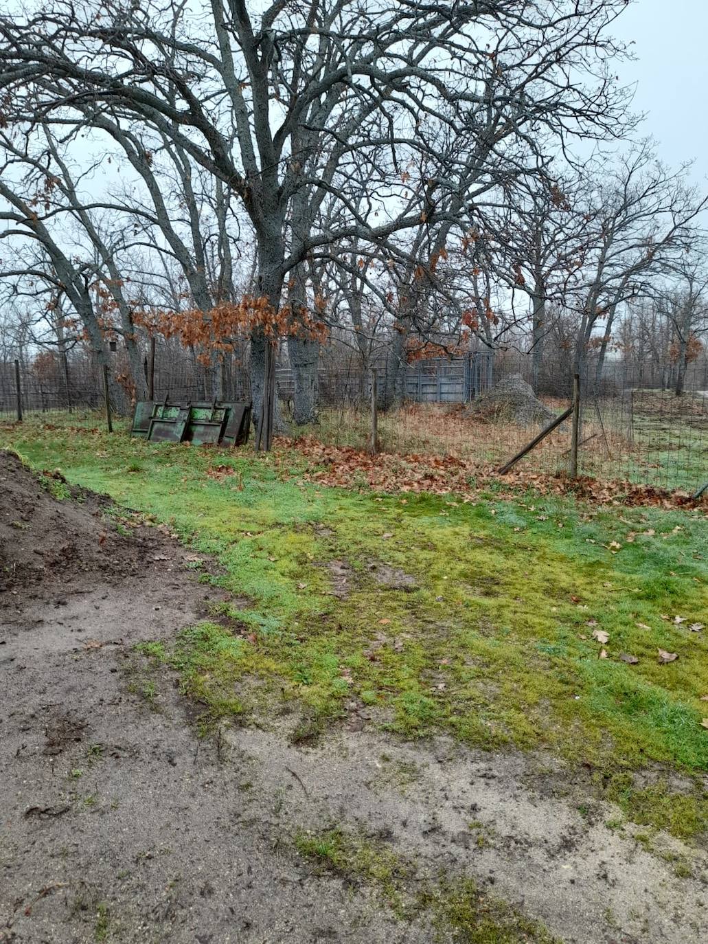 Un momento de la plantación. 