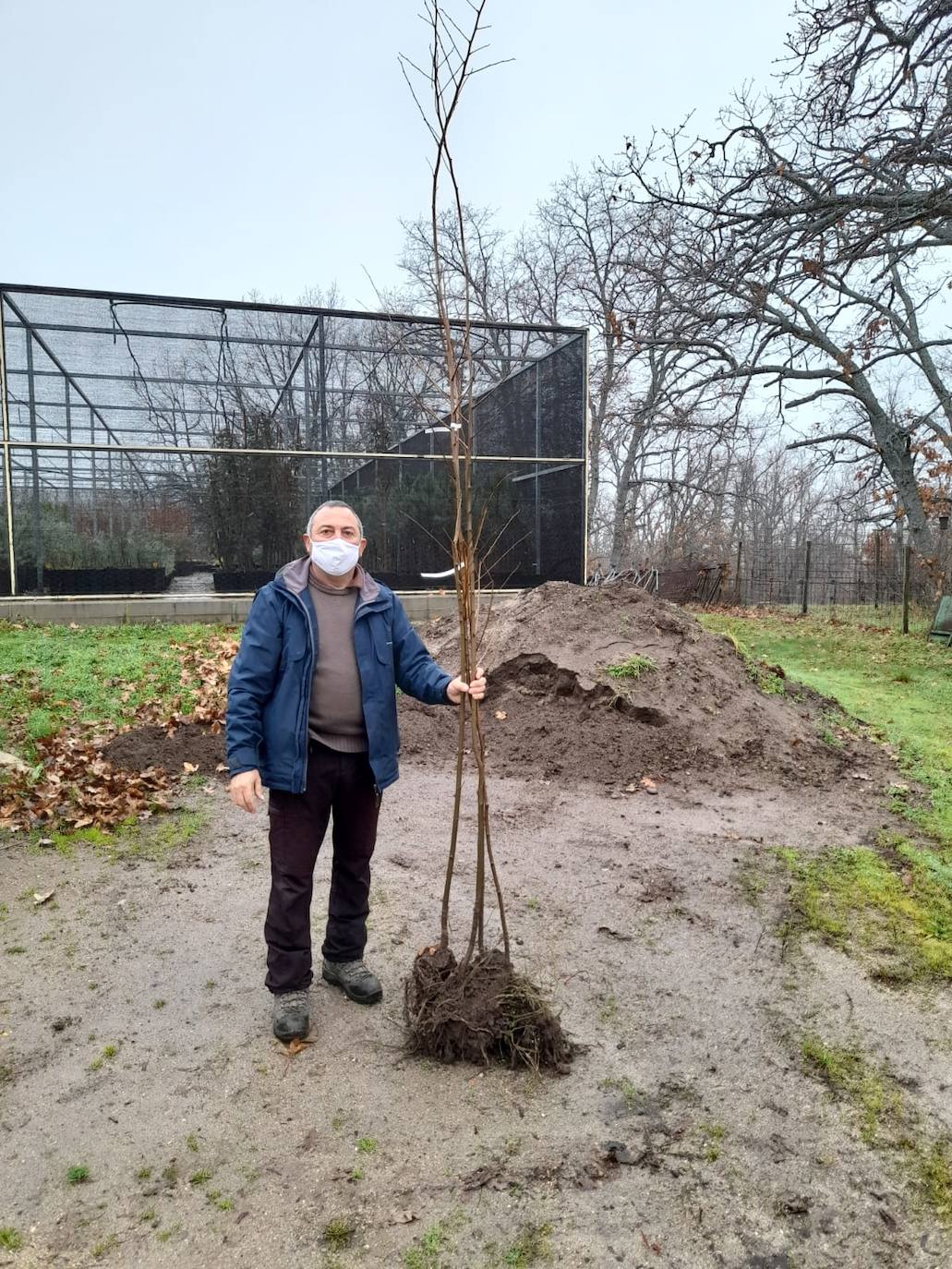 Un momento de la plantación. 