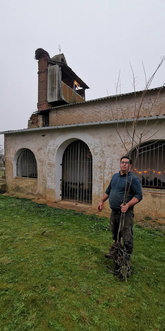 Un momento de la plantación. 