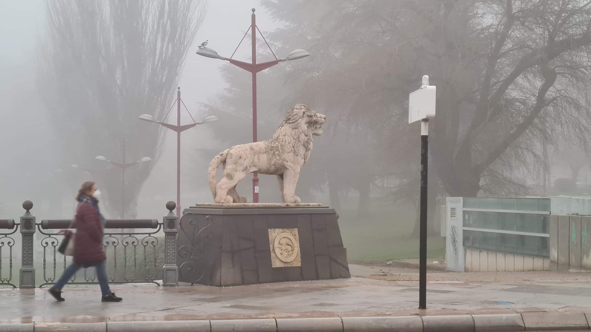 La ciudada amenece bajo un espeso manto de niebla que reduce la visibilidad en varios puntos.