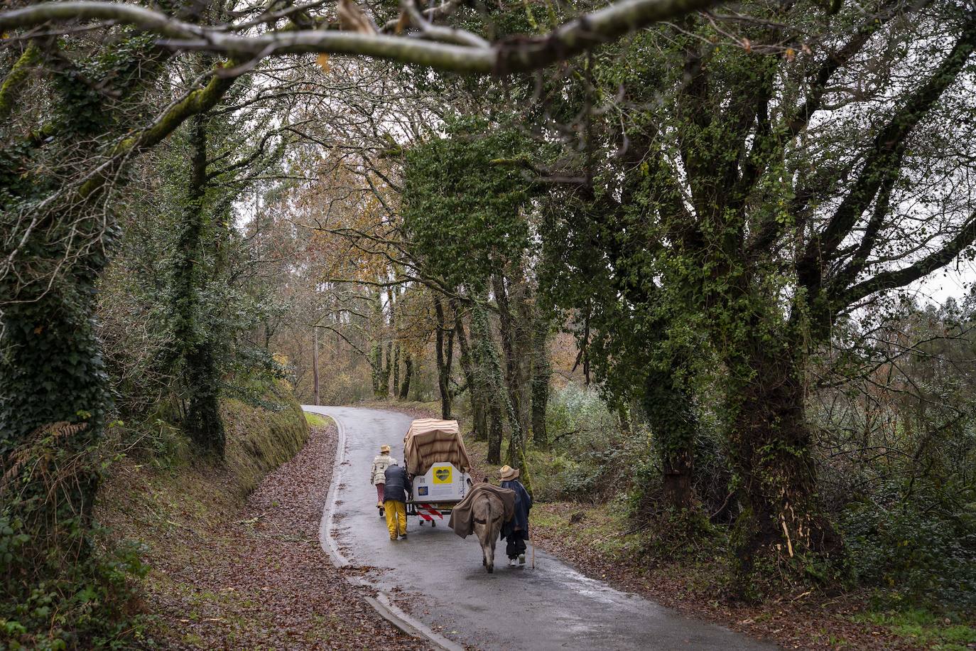 Fotos: Jato, una vida en el Camino de Santiago