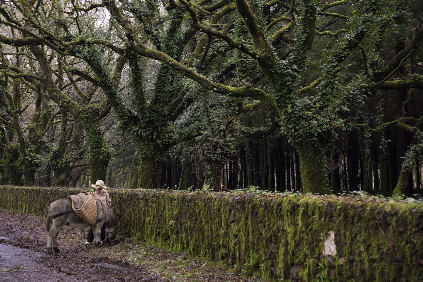 Fotos: Jato, una vida en el Camino de Santiago