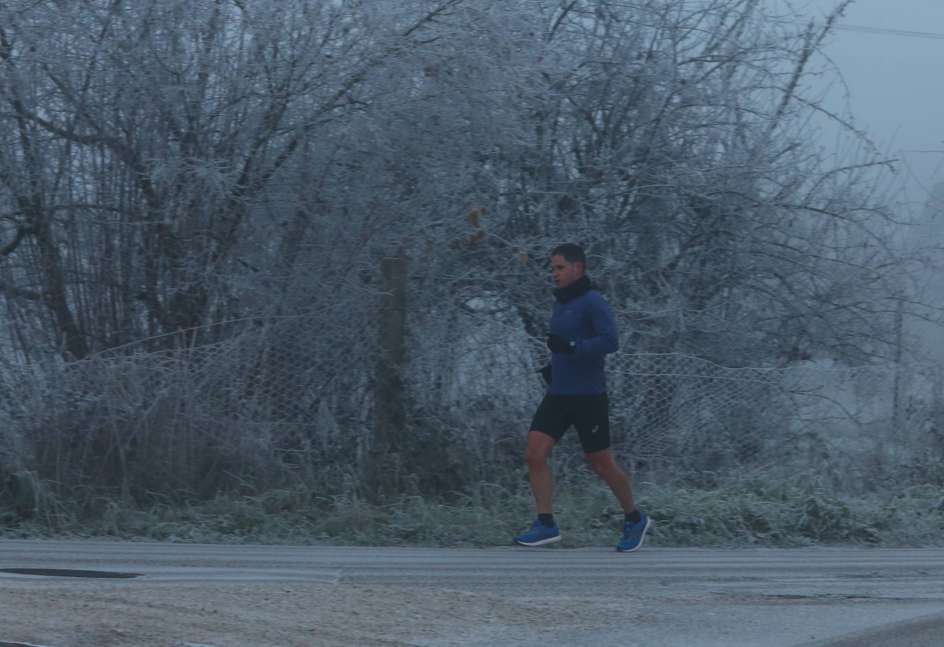 Fotos: Intensa helada en El Bierzo