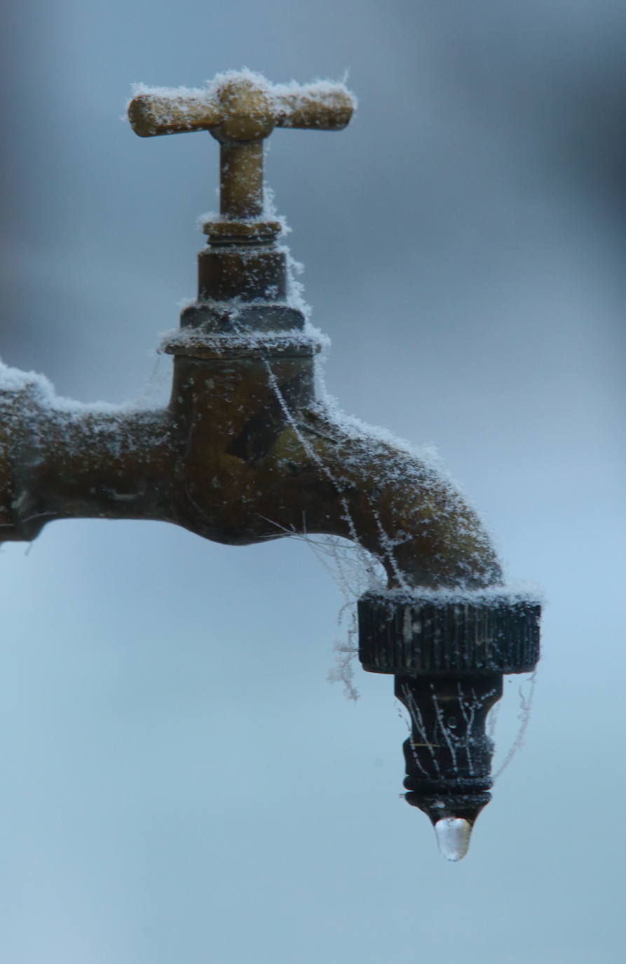 Fotos: Intensa helada en El Bierzo