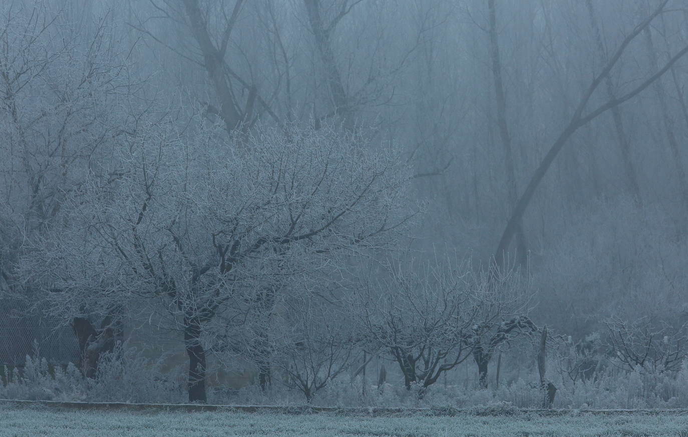 Fotos: Intensa helada en El Bierzo