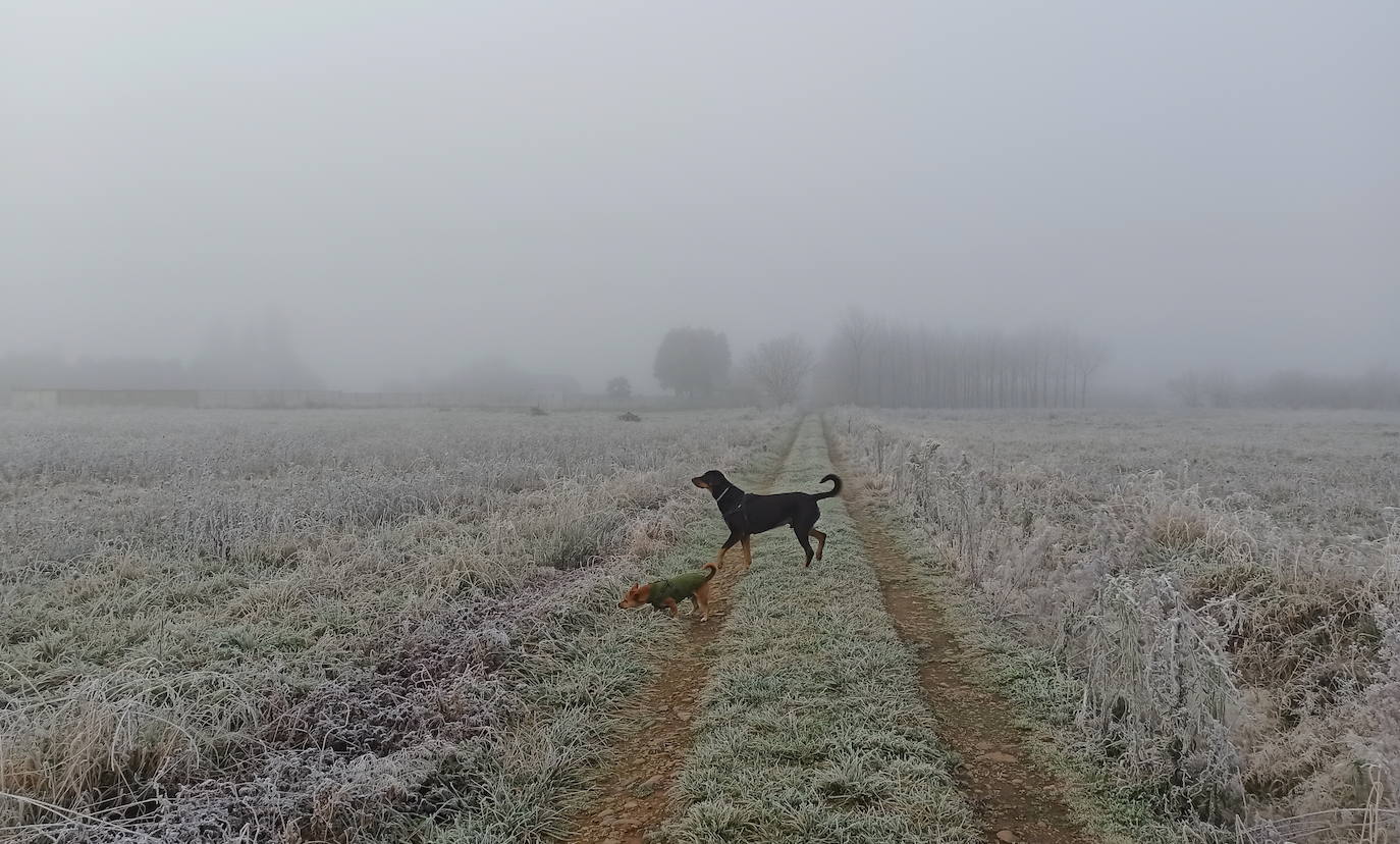 Fotos: Intensa helada en El Bierzo