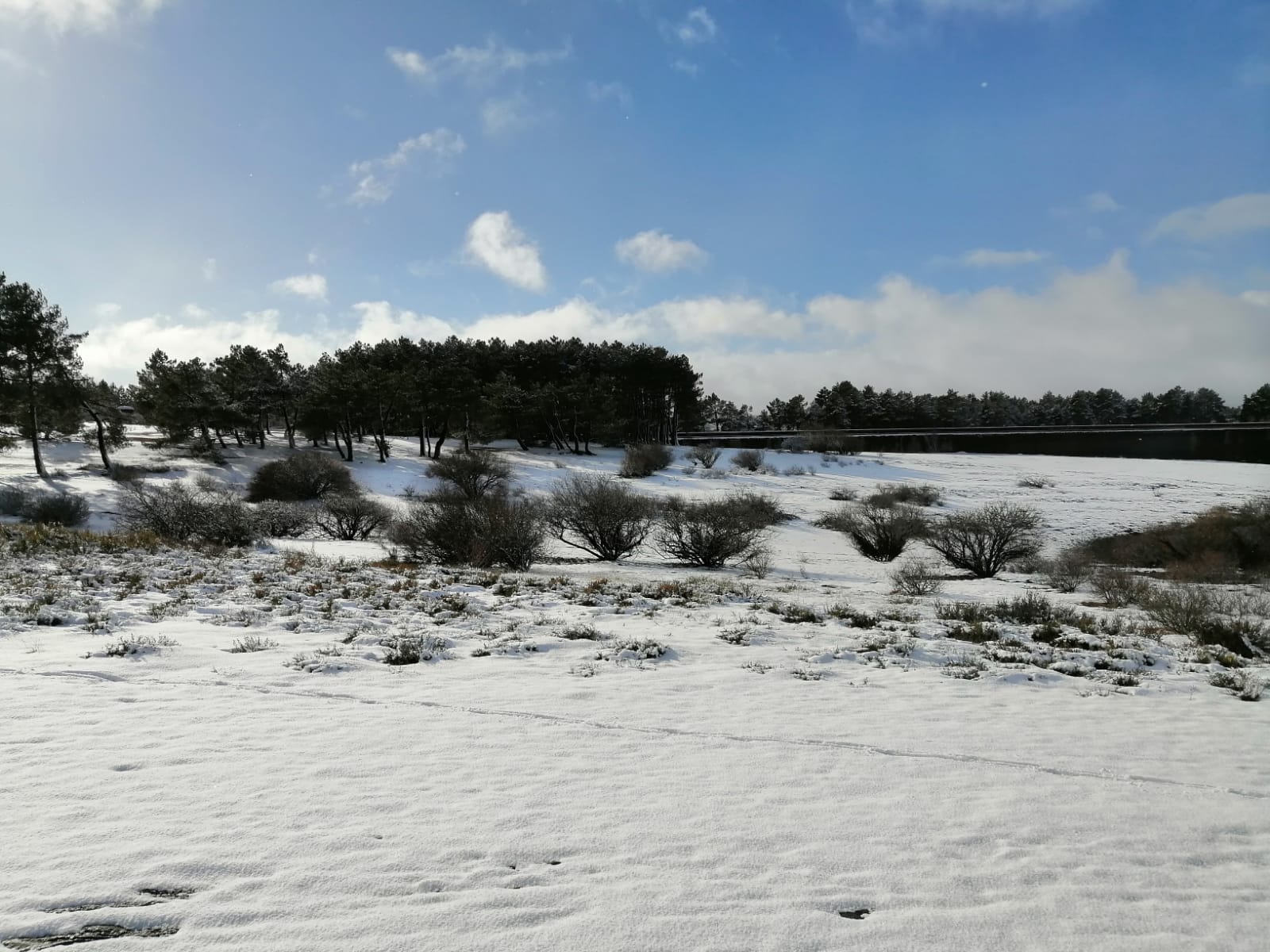 La provincia ya está teñidas de blanco dejando unos bonitos paisajes. 