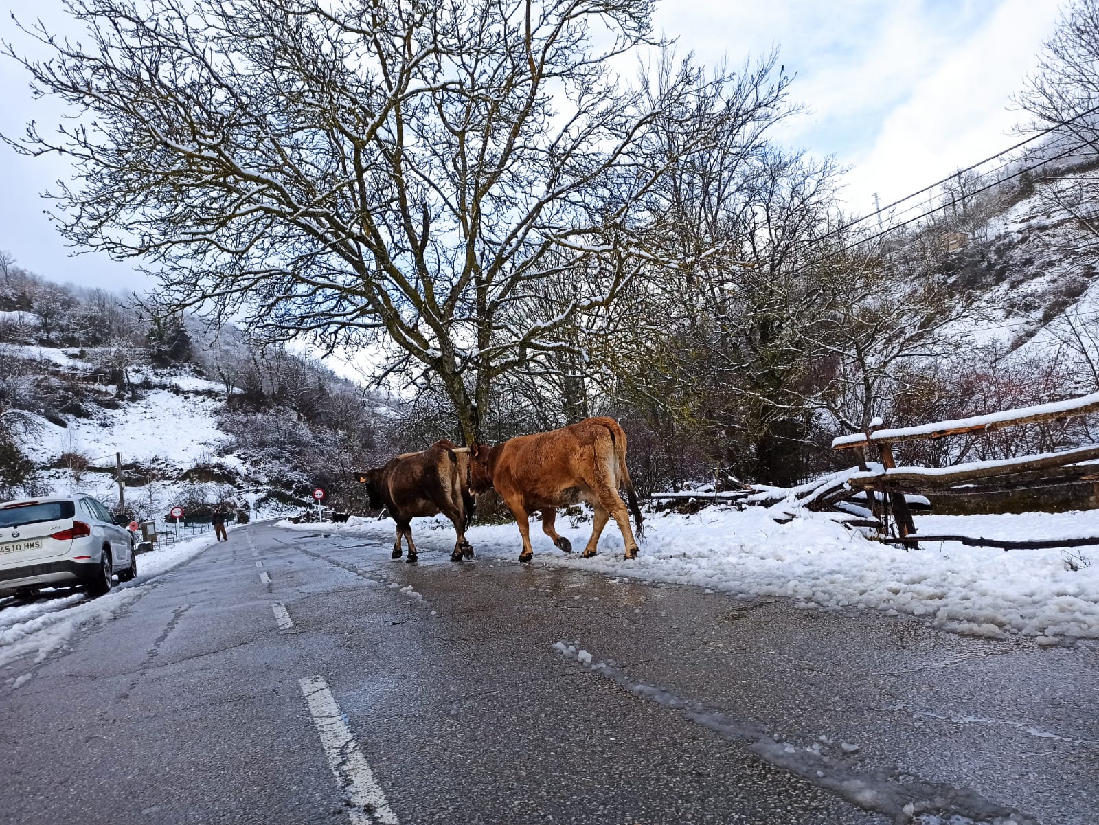 La nieve obliga a utilizar cadenas en dos puntos de la red principal de León y corta cuatro de la red de secundaria en León y Burgos. 