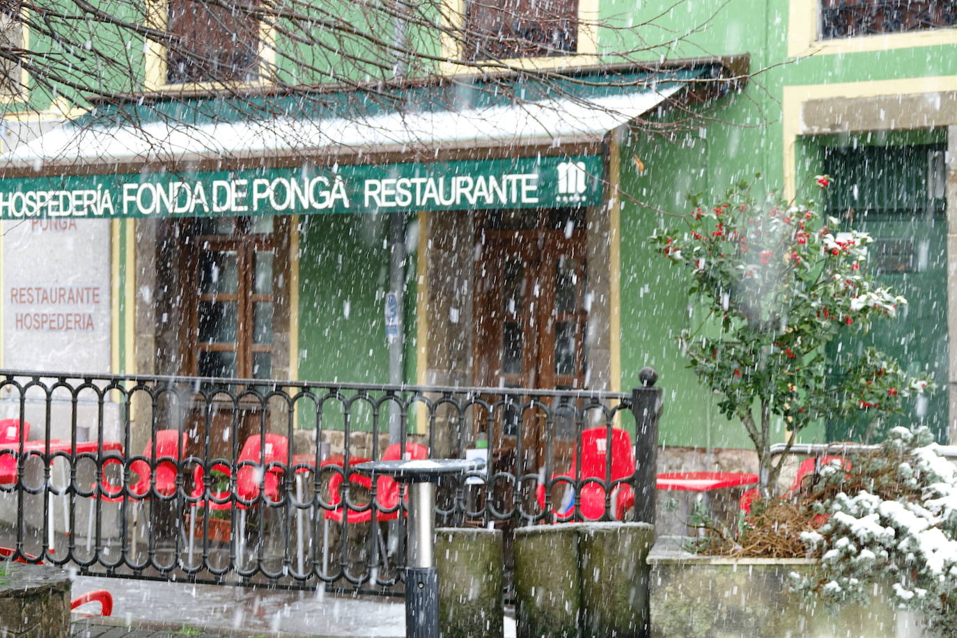 Fotos: Picos de Europa comienza el año bajo la nieve