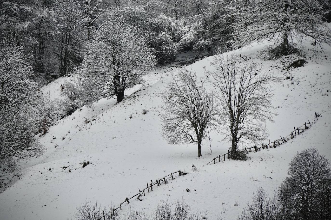 Fotos: Picos de Europa comienza el año bajo la nieve