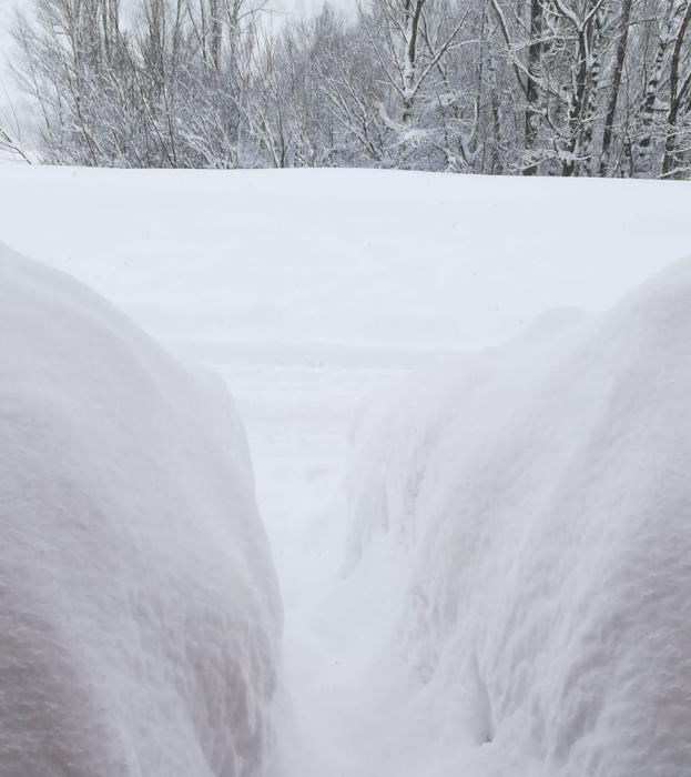 Imagen de la nieve caída en Lario.