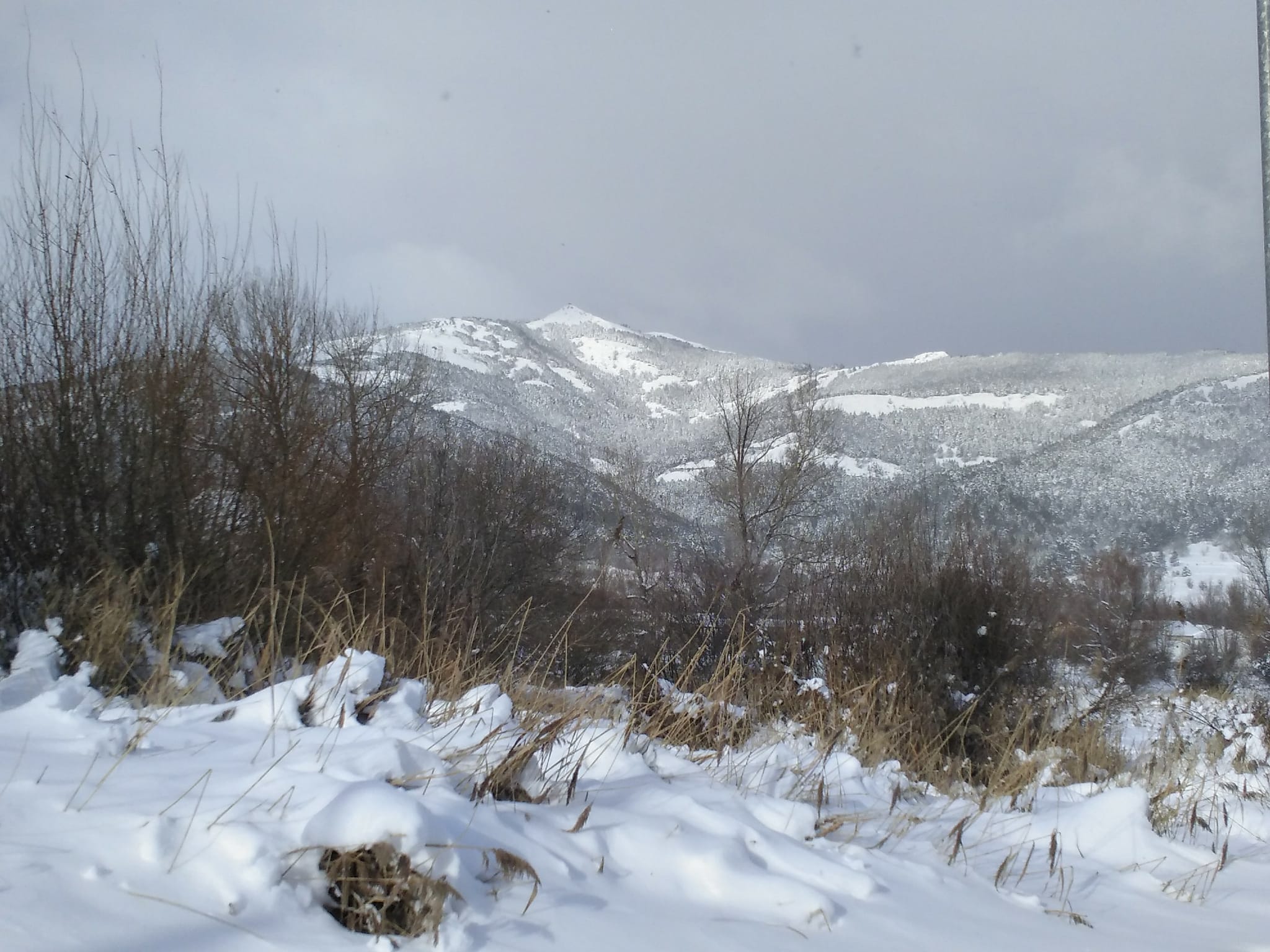 Diferentes municipios en cotas más altas han amanecido bajo una espesa manta de nieve que cubre calles y carreteras.