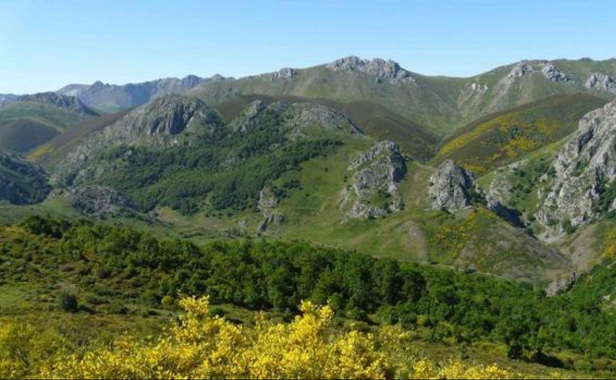 Plan de Recuperación.