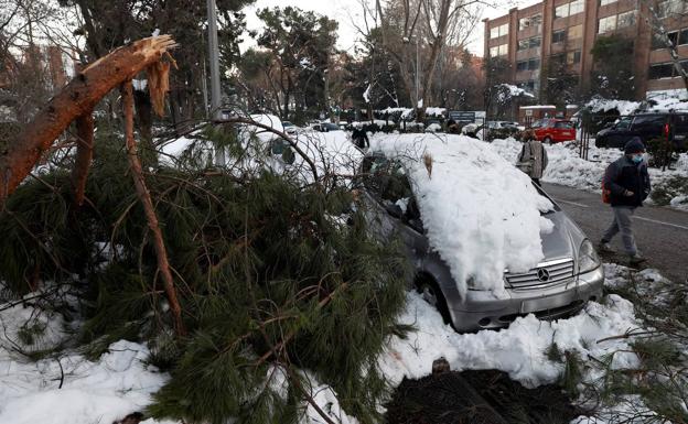 Destrozos en Madrid tras el temporal.