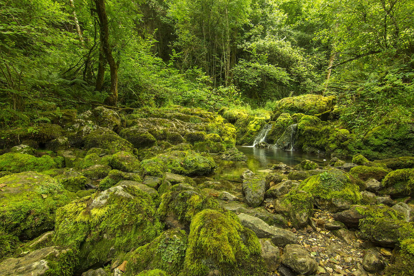Fuentes de Obaya (Asturias)
