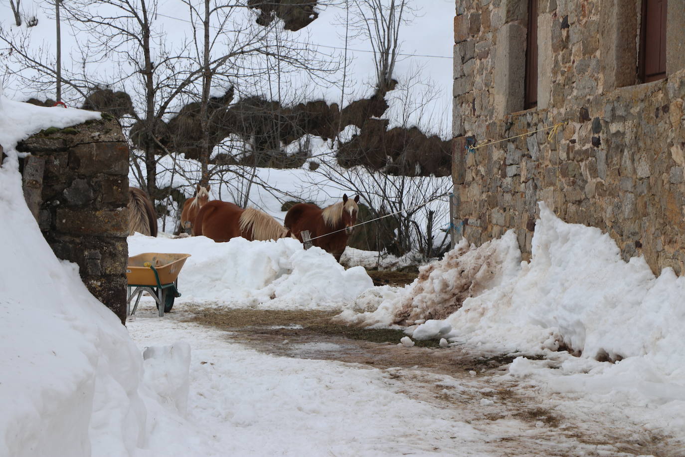 El municipio babiano mantiene varias carreteras en muy mal estado tras la gran nevada que afrontó a finales de 2020.