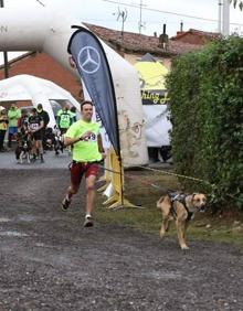 Imagen secundaria 2 - El mushing también cuenta con modalidades de tierra. 