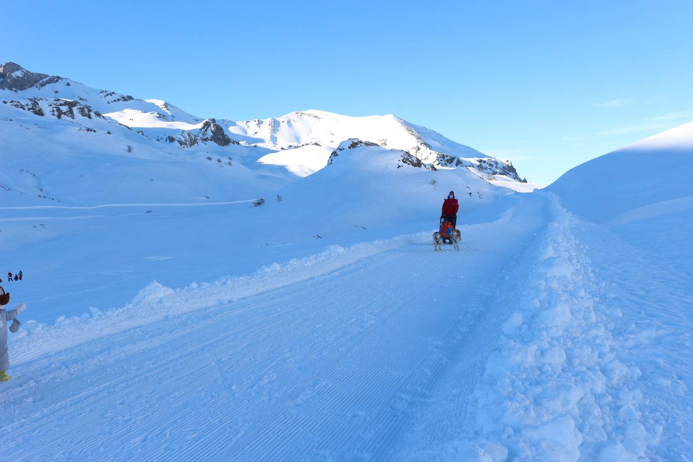 Velocidad, destreza, fuerza y pasión por la nieve unen al perro y al hombre. 