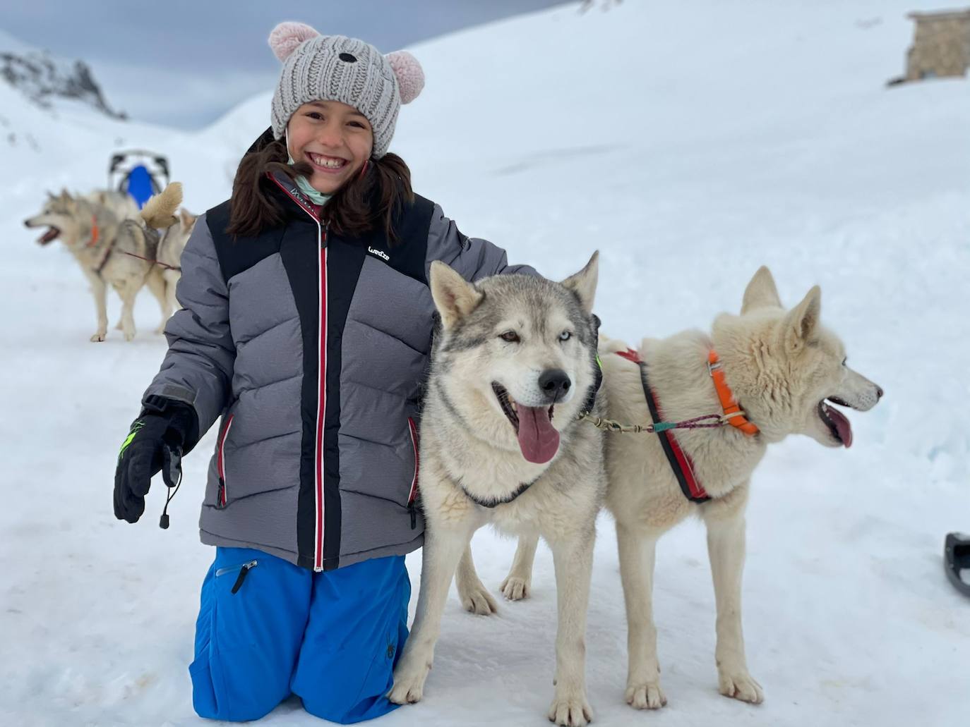 Velocidad, destreza, fuerza y pasión por la nieve unen al perro y al hombre. 