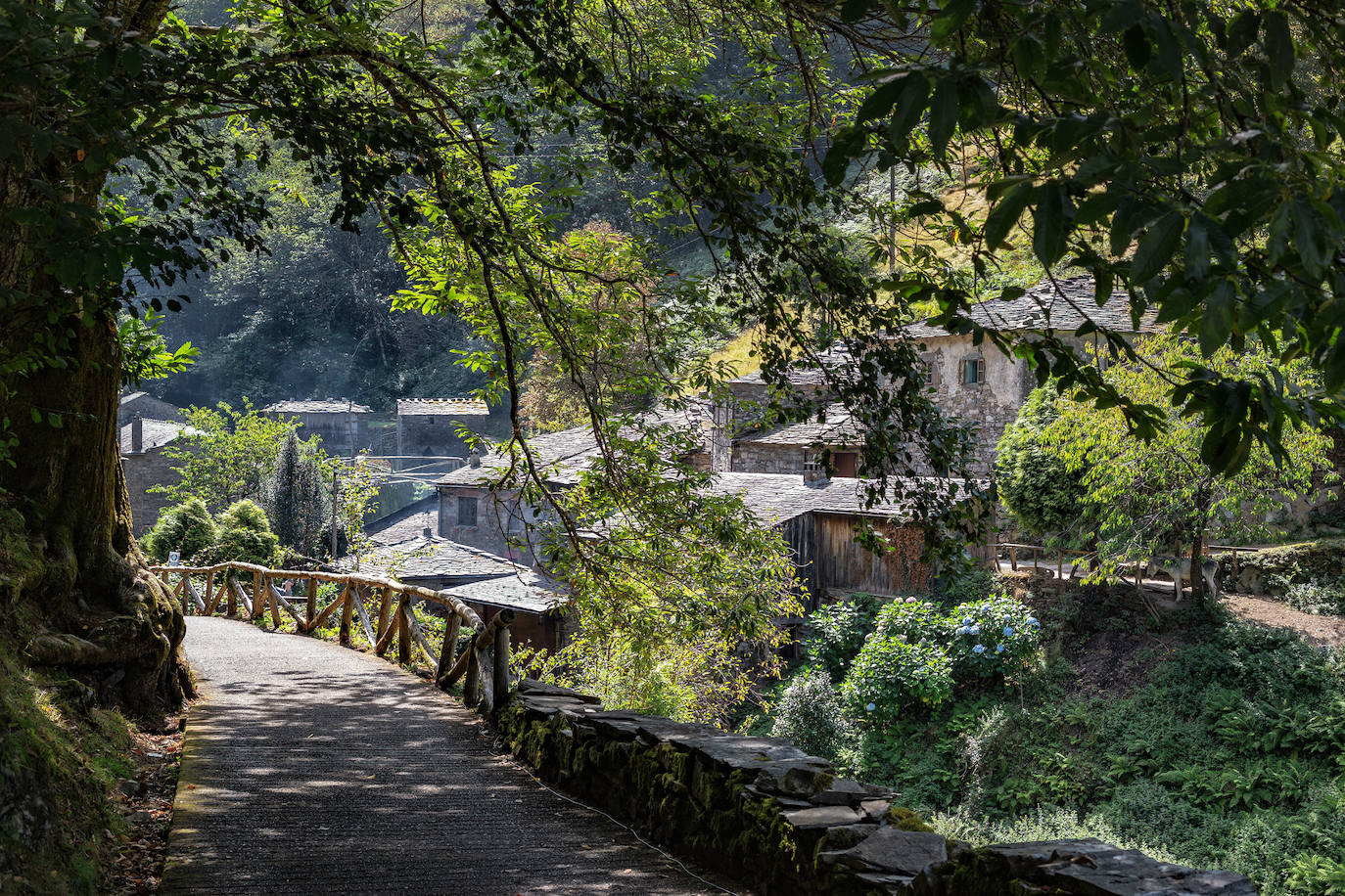 Teixois (Los Oscos, Asturias)