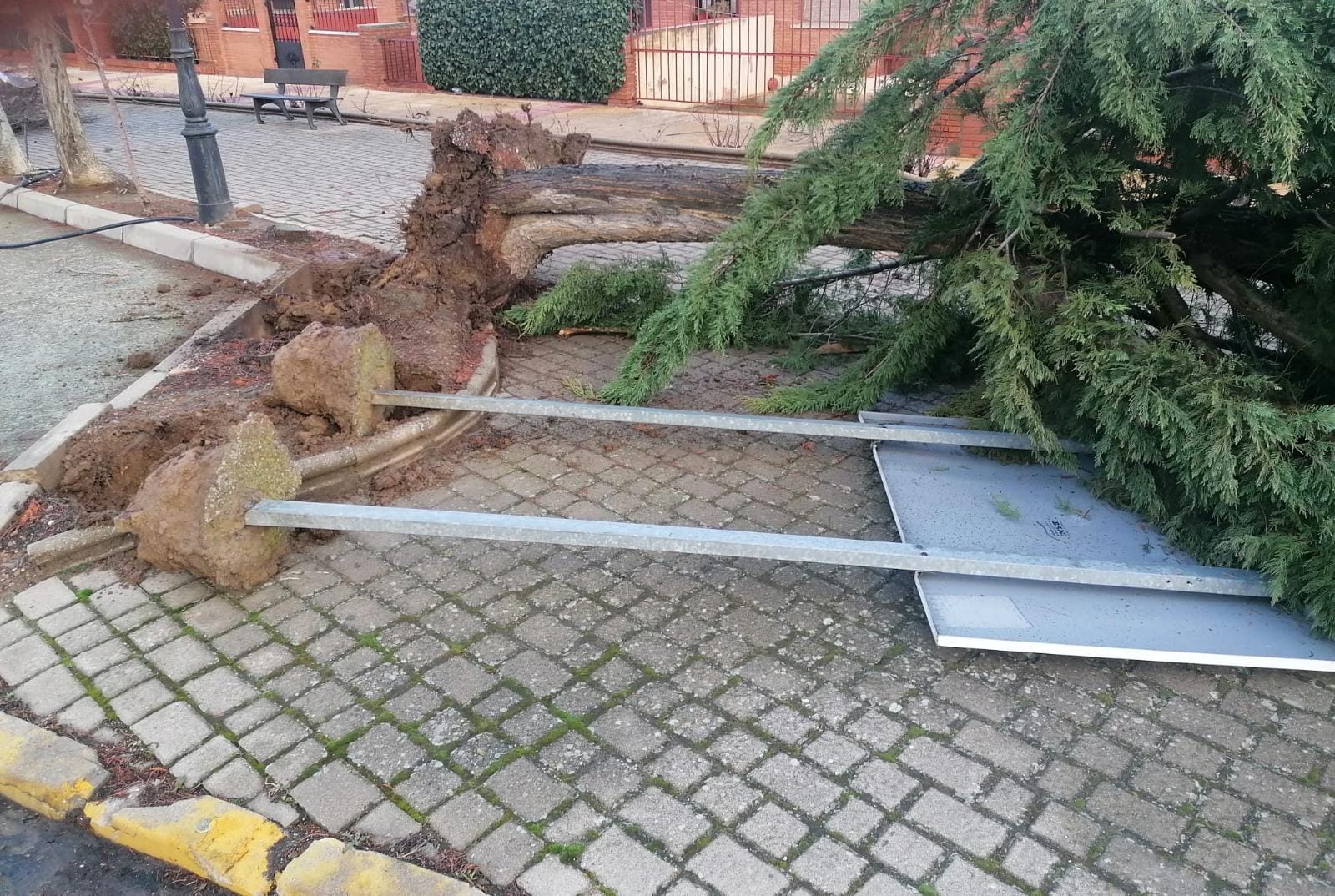 Fotos: El viento causa destrozos en Sahagún