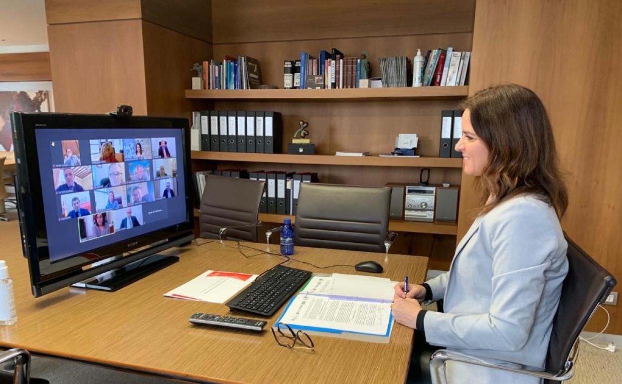 Ana Carlota Amigo, durante la reunión telemática. 