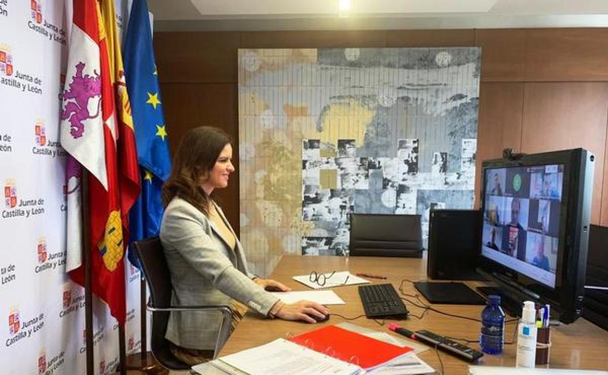 Ana Carlota Amigo durante la reunión telemática.