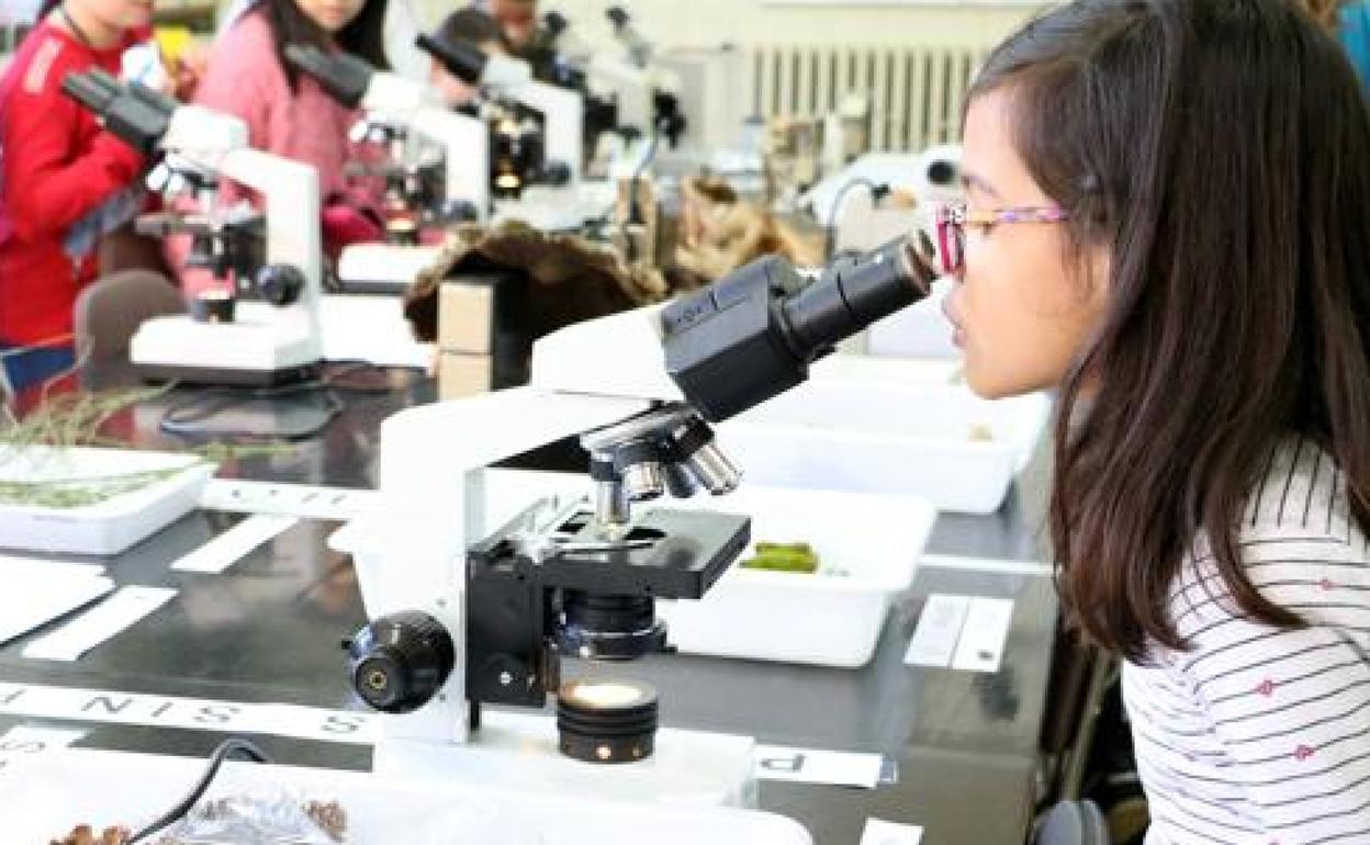 Imagen de archivo de una niña en un laboratorio.