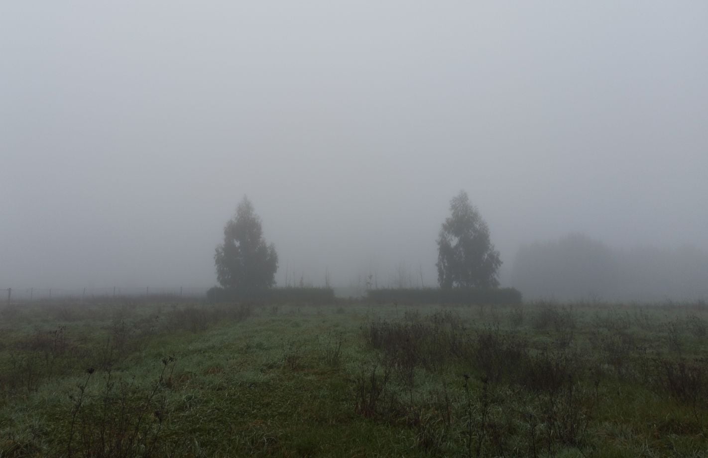 La intensa niebla protagoniza la jornada de este lunes en toda la provincia de León. En la imagen, niebla en la zona del bierzo.