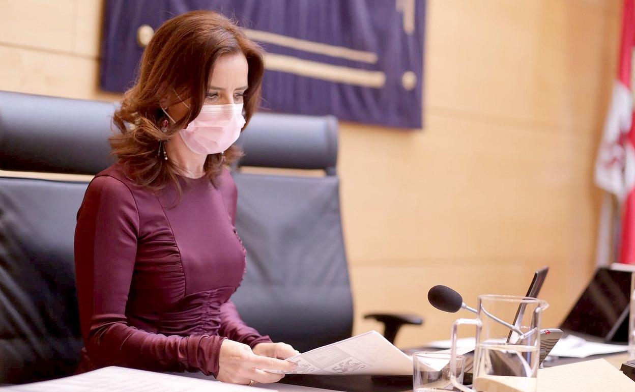 Ana Carlota Amigo, durante su comparecencia.