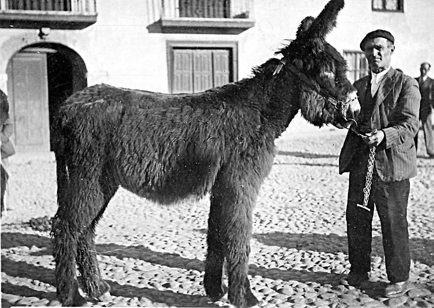 Imagen de archivo de 1942 de la Feria de Febrero de Valencia de Don Juan