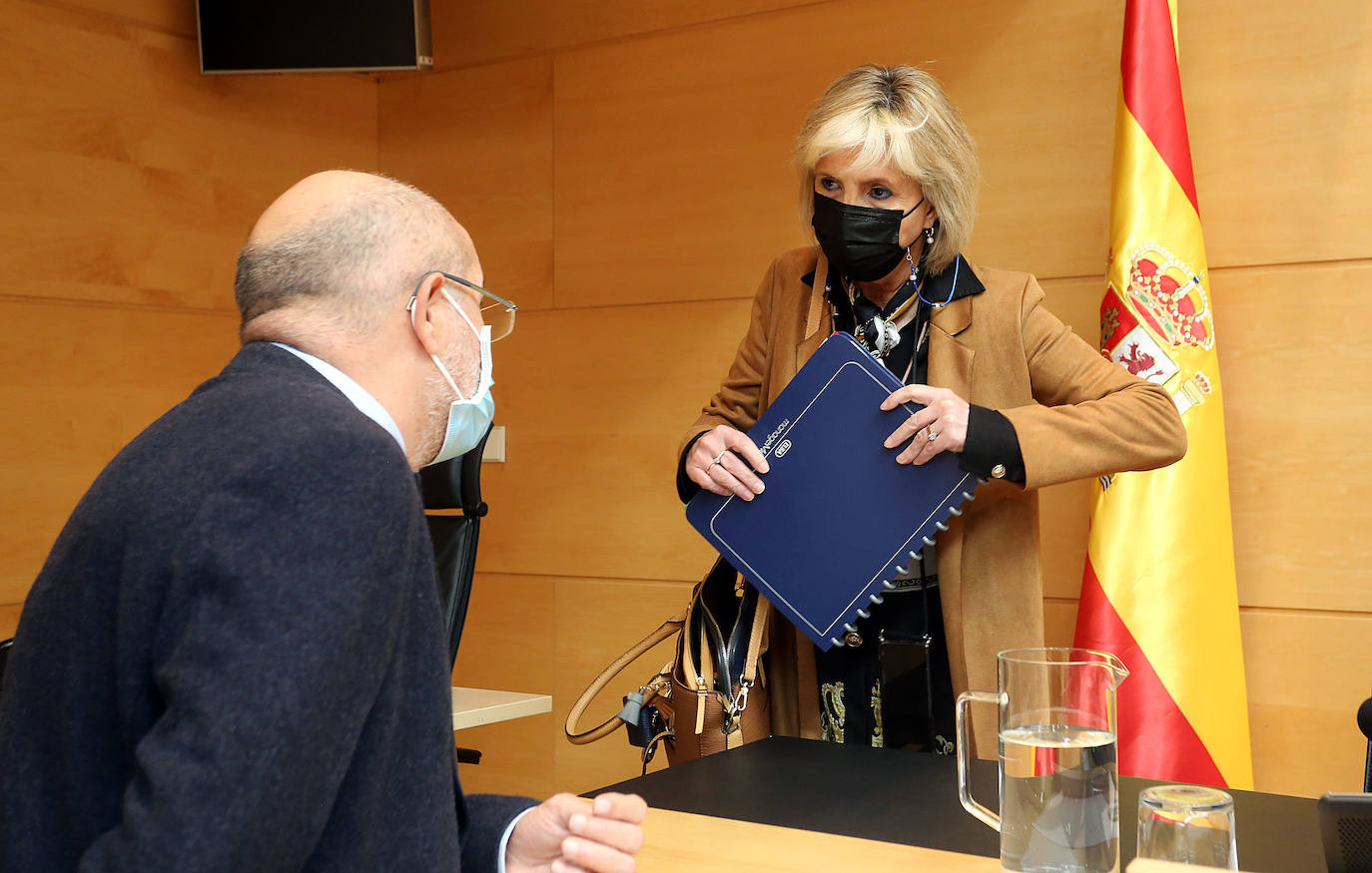 Fotos: Comparecencia de la consejera de Sanidad en las Cortes de Castilla y León