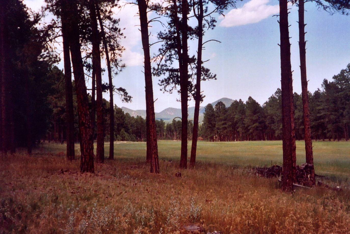 EL PROYECTO DE LA BRUJA DE BLAIR (1999) | Estos bosques cuentan con leyenda que dice que ya en el año 1785, en el antiguo pueblo de Blair (actualmente se llama Burkittsville), vivió Elly Kedward, una anciana acusada por varios niños de extraerlos sangre que utilizaría en rituales de magia negra.