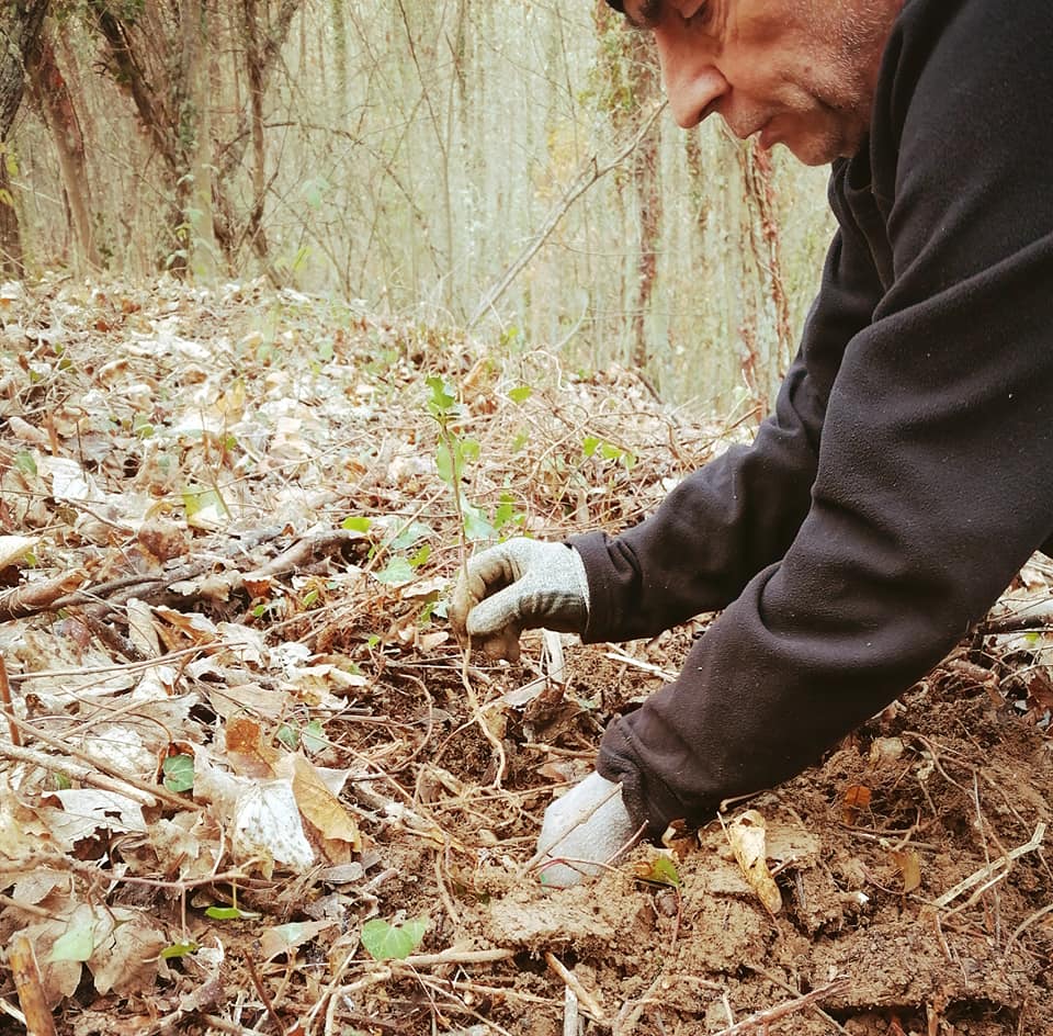 Fotos: Plantación en Villar de los Mundos