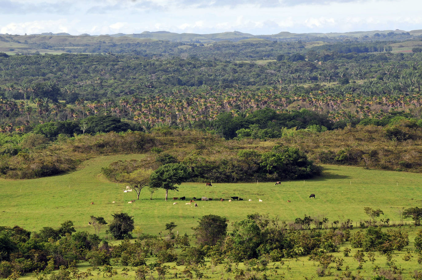 4- Los Llanos (Colombia)