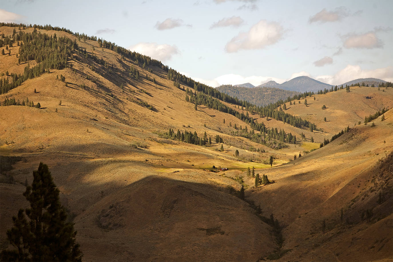 48- The Methow Valley (Washington)