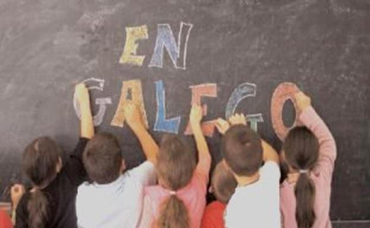 El gallego se imparte en diferentes centros educativos de la comarca.