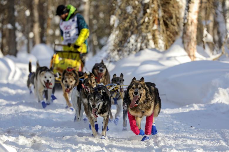 El equipo de Wade Marrs corre al comienzo de la Iditarod Trail Sled Dog Race, que se lleva a cabo en un circuito cerrado a través del desierto