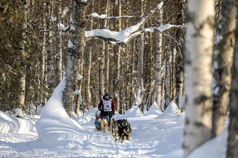 Ryne Olson participa al comienzo de la Iditarod Trail Sled Dog Race.