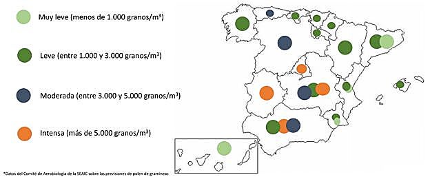 Ojo al polen en el centro y el sur de la península