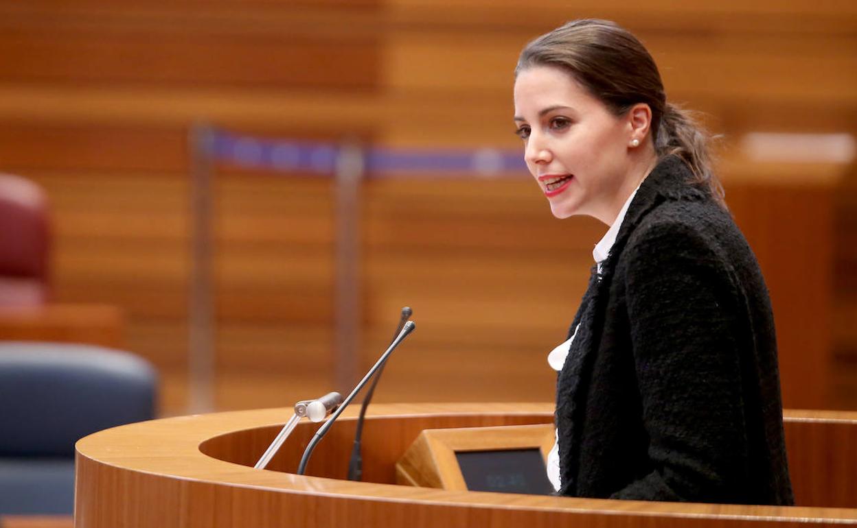 La procuradora de Cs, María Montero, en una intervención en un pleno.