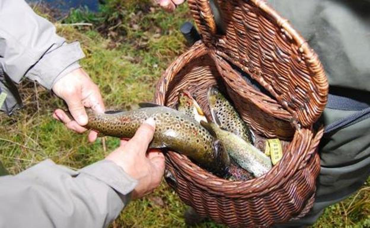 La pesca en León arrancará el próximo 27 de marzo.